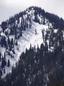 Program Avalanche Observations # 101