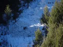 Program Avalanche Observations # 131