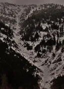 Program Avalanche Observations # 137