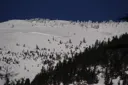 Program Avalanche Observations # 184