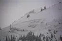 Program Avalanche Observations # 231