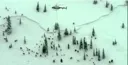 Program Avalanche Observations # 249