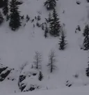 Program Avalanche Observations # 251