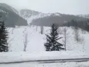 Program Avalanche Observations # 256