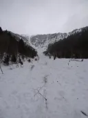 Program Avalanche Observations # 257