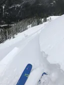 Program Avalanche Observations # 259