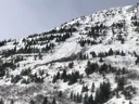 Program Avalanche Observations # 265