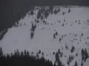 Program Avalanche Observations # 275