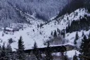 Program Avalanche Observations # 278