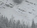 Program Avalanche Observations # 302