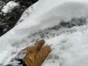 Program Avalanche Observations # 303