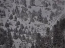 Program Avalanche Observations # 305