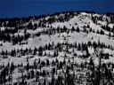 Program Avalanche Observations # 324
