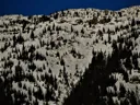 Program Avalanche Observations # 327