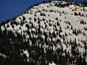 Program Avalanche Observations # 329