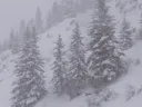 Program Avalanche Observations # 332