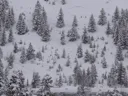 Program Avalanche Observations # 334