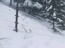 Program Avalanche Observations # 336
