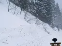 Program Avalanche Observations # 338
